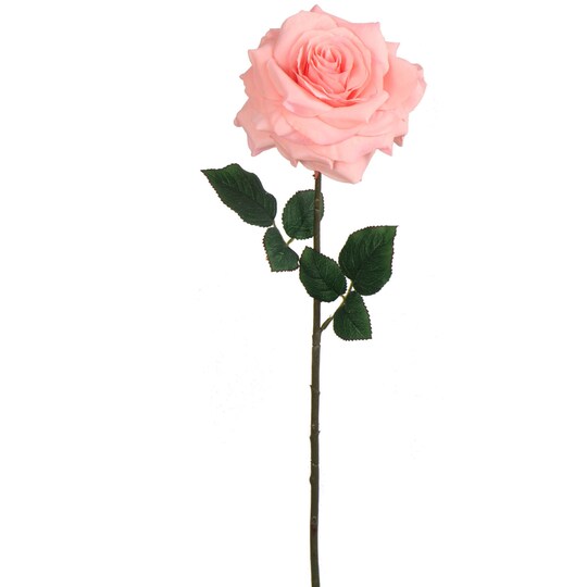 6-Pack 20" Pink Artificial Rose Stems – Realistic Open Blooms & Lifelike Green Foliage